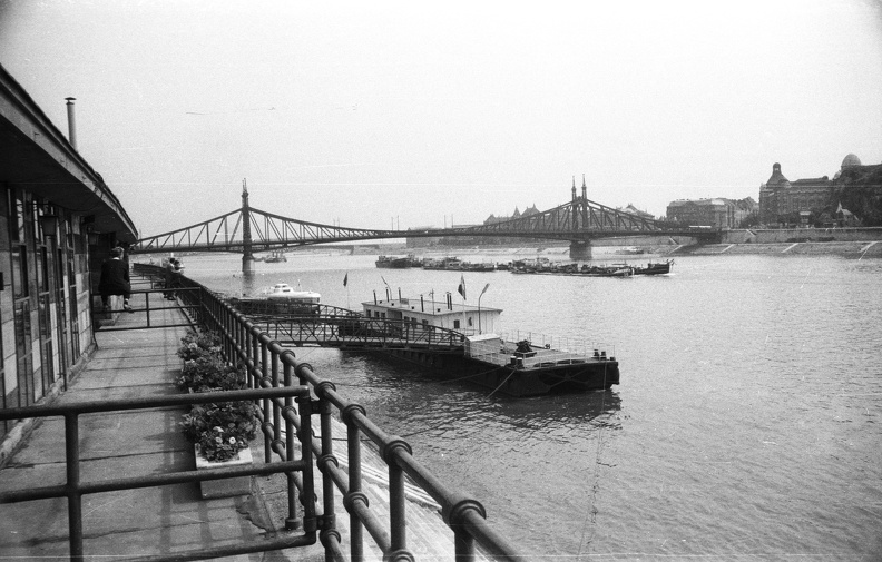 Belgrád rakpart, Nemzetközi hajállomás, háttérben a Szabadság híd.
