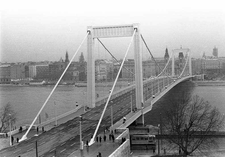 Erzsébet híd a Gellérthegyről nézve, a híd avatása előtt.