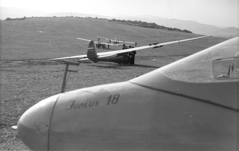 Rubik R-22 Június 18 és C-2 Cinke típusú vitorlázó repülőgépek.