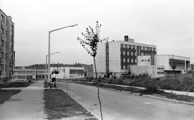 Puskás Tivadar utca, Középiskolai fiúkollégium.